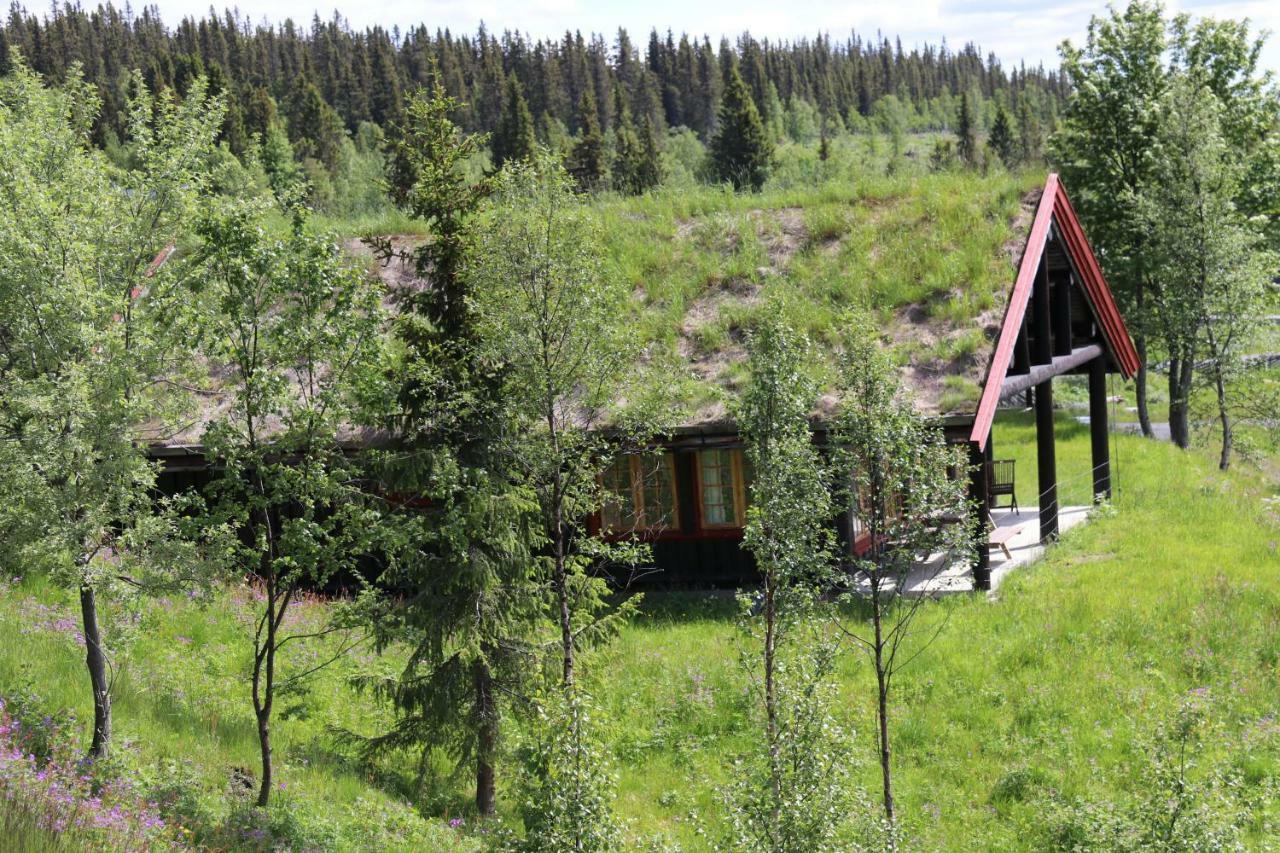 Etnedal Gamlestolen Fjellstueヴィラ エクステリア 写真