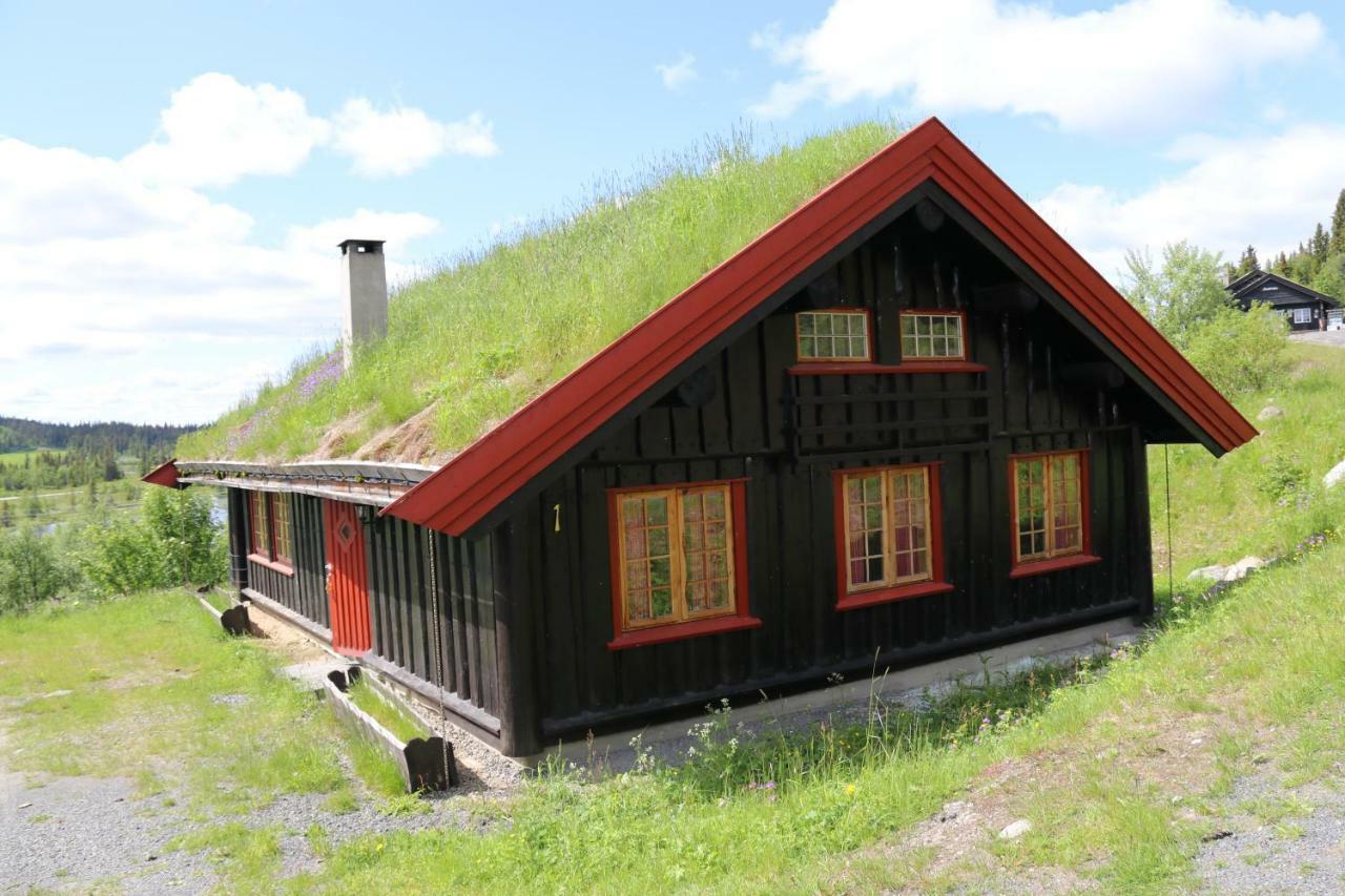 Etnedal Gamlestolen Fjellstueヴィラ エクステリア 写真