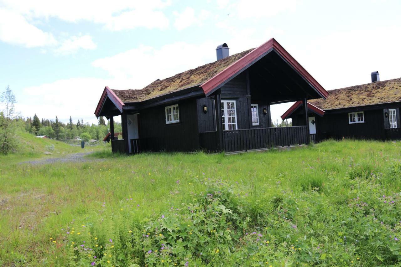 Etnedal Gamlestolen Fjellstueヴィラ エクステリア 写真