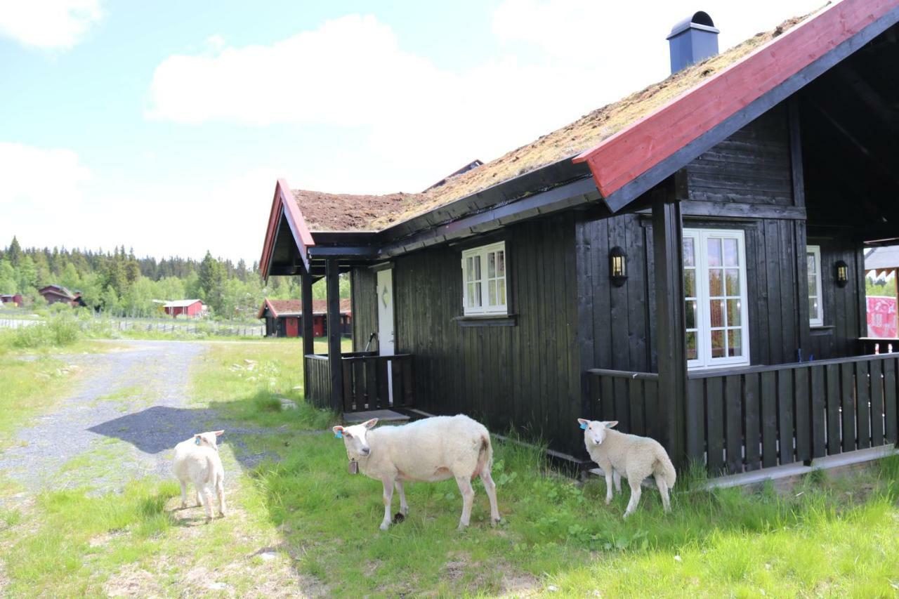 Etnedal Gamlestolen Fjellstueヴィラ エクステリア 写真